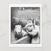 Dierlijk Boerderij - Squealer Briefkaart (Voorkant)