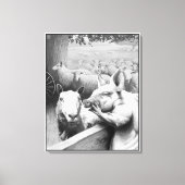 Dierlijk Boerderij - Squealer Canvas Afdruk (Voorkant)