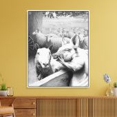 Dierlijk Boerderij - Squealer Canvas Afdruk (Insitu (Woonkamer))