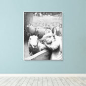 Dierlijk Boerderij - Squealer Canvas Afdruk (Insitu (Houten vloer))