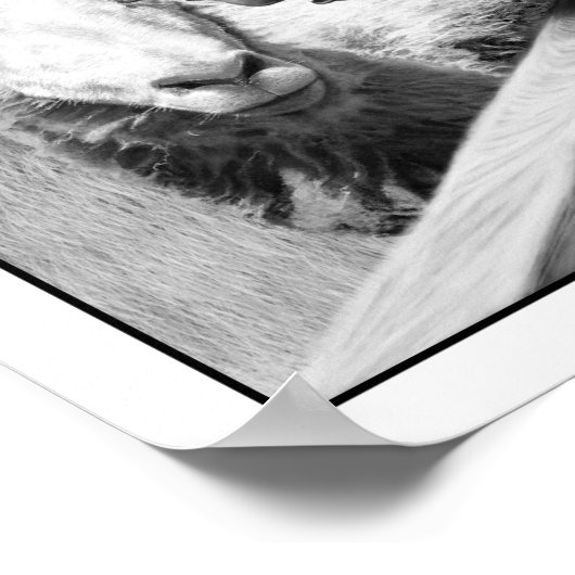 Dierlijk Boerderij - Squealer Poster (Hoek)