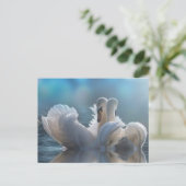 Dierlijk briefkaart (Staand voorkant)