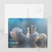 Dierlijk briefkaart (Voorkant / Achterkant)