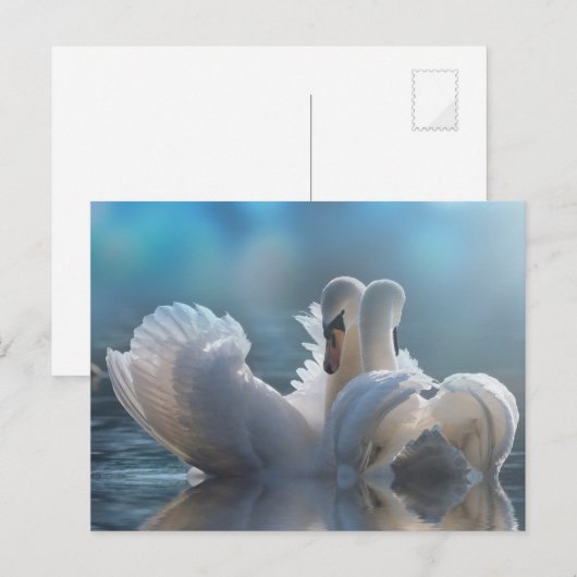 Dierlijk briefkaart (Voorkant / Achterkant)