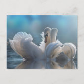 Dierlijk briefkaart (Voorkant)