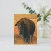 Dierlijk Briefkaart (Staand voorkant)