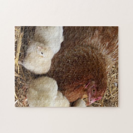 dierlijk, chick, kip, boerderij, schattig, vogel,  legpuzzel (Horizontaal)