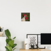dierlijk, chick, kip, boerderij, schattig, vogel, poster (Thuiskantoor)