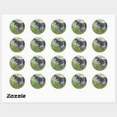 dierlijk, chick, kip, boerderij, schattig, vogel,  ronde sticker (Vel)