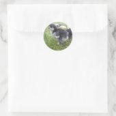 dierlijk, chick, kip, boerderij, schattig, vogel,  ronde sticker (Tas)