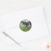 dierlijk, chick, kip, boerderij, schattig, vogel,  ronde sticker (Envelop)