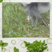 dierlijk, chick, kip, boerderij, schattig, vogel, theedoek (Gevouwen)