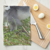dierlijk, chick, kip, boerderij, schattig, vogel, theedoek (Quarter Fold)