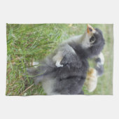 dierlijk, chick, kip, boerderij, schattig, vogel, theedoek (Horizontaal)