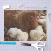 dierlijk, chick, kip, boerderij, schattig, vogel,  tissuepapier (Craft)