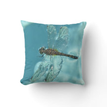 Dierlijk Collectie - Dragonfly op water