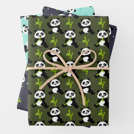 dierlijk feest in panda met een schattig beer inpakpapier vel (In situ)
