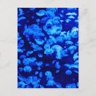 Dierlijk Jelly Fish Water Blue Briefkaart