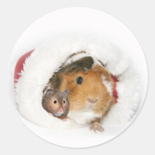 Dierlijk Kerst sticker