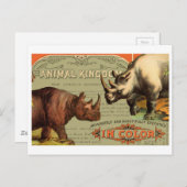 Dierlijk Koninkrijk Rhinoceros Briefkaart (Voorkant / Achterkant)