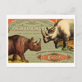 Dierlijk Koninkrijk Rhinoceros Briefkaart