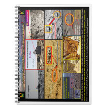 Dierlijk leven in Martian