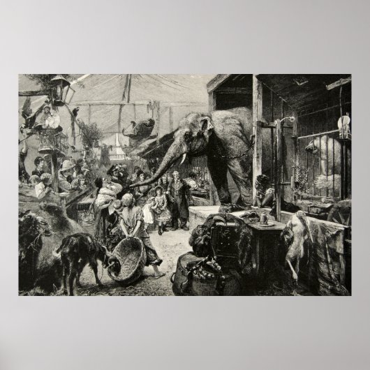  dierlijk olifant dierentuin graven kinderen poster (Voorkant)