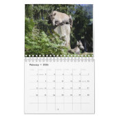 Dierlijk Ouderschap Kalender (Feb 2026)