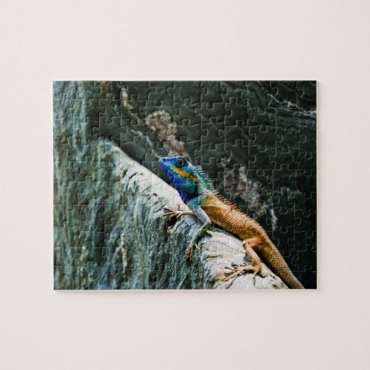 dierlijk puzzels (Horizontaal)