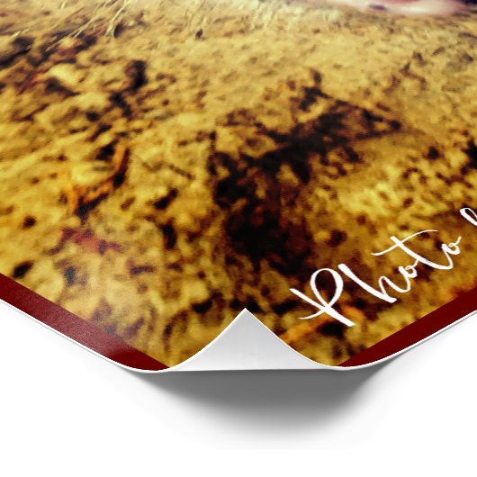 Dierlijk varken - Landleven Perfect Poster (Hoek)