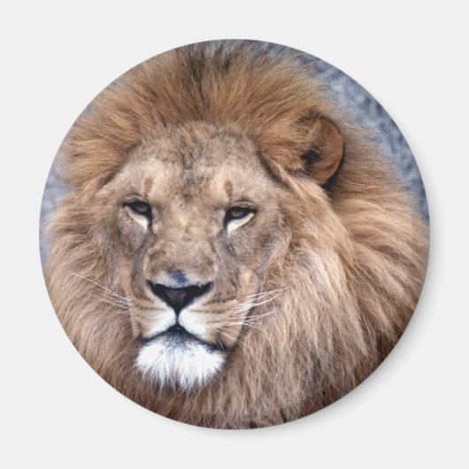 Dierlijk wild 1 magneet (Voorkant)