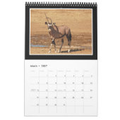 Dierlijk wild Afrika 2013 (ELK JAAR) Kalender (Mar 2027)