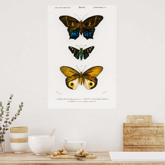  dierlijke afdruk van Poster van vlinders (Keuken)
