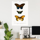  dierlijke afdruk van Poster van vlinders (Thuiskantoor)