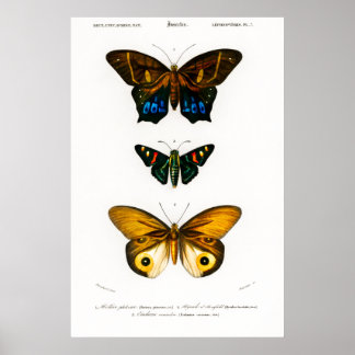  dierlijke afdruk van Poster van vlinders