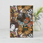 Dierlijke afdruk. Vliegvleugels. (Staand voorkant)