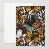 Dierlijke afdruk. Vliegvleugels. (Voorkant / Achterkant)