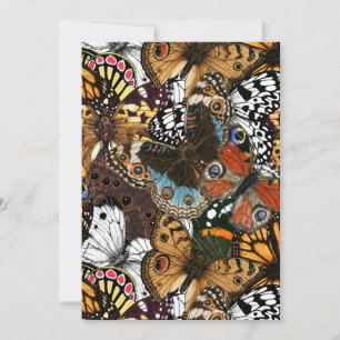 Dierlijke afdruk. Vliegvleugels.