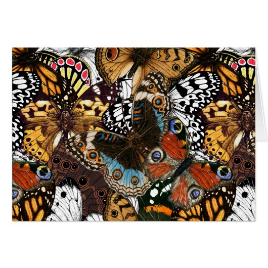 Dierlijke afdruk. Vliegvleugels. (Voorkant Horizontaal)