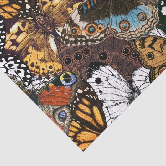 Dierlijke afdruk. Vliegvleugels. Tissuepapier (Detail)