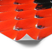 Dierlijke afdrukken - 1 poster (Hoek)