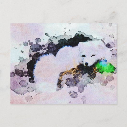 *~* Dierlijke AP18 Sneeuwvos Witte poolpolaire vos Briefkaart (Voorkant)