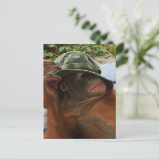 Dierlijke Baby-nap-tijd Briefkaart (Staand voorkant)