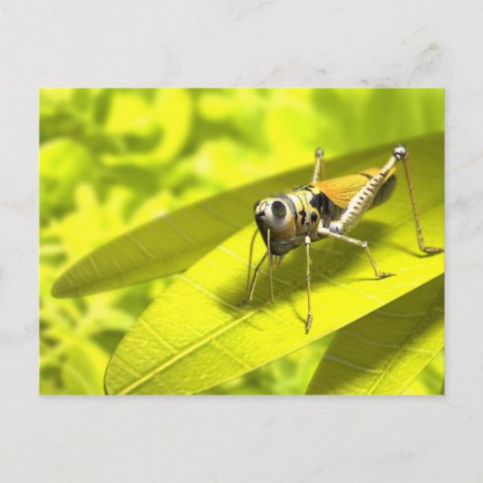 Dierlijke briefkaarten 34 (Voorkant)