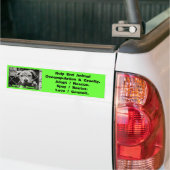 Dierlijke Bumperstickers (Op Truck)