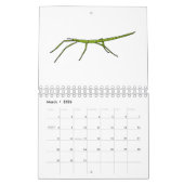 Dierlijke cartoon illustratie kalender (Mar 2026)