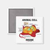 Dierlijke cel binnen (Eukaryote Cell Biology) Magneet (Voorkant / Achterkant)