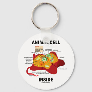 Dierlijke cel binnen (Eukaryote Cell Biology) Sleutelhanger