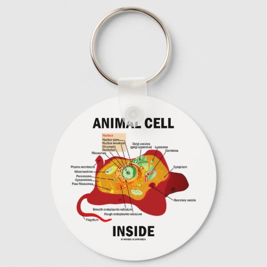 Dierlijke cel binnen (Eukaryote Cell Biology) Sleutelhanger (Voorkant)
