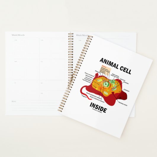 Dierlijke cel in het Eukaryote-diagram Planner (Display)